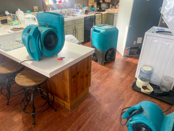 Best Flood damage cleanup  in Clarkston, WA