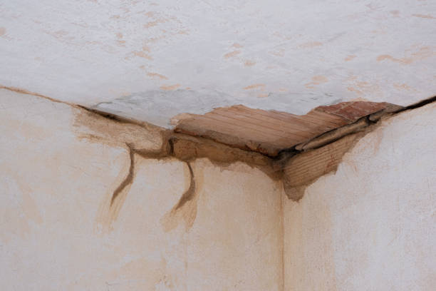 Best Water damage mitigation services  in Clarkston, WA