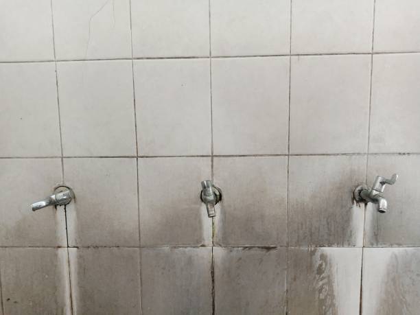 Best 24/7 water damage repair  in Clarkston, WA