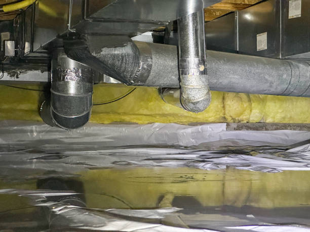 Best Local water damage restoration  in Clarkston, WA