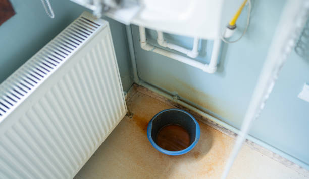 Best Water damage restoration near me  in Clarkston, WA
